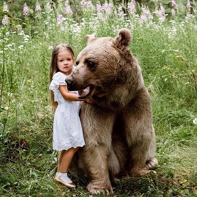 Фотография от Медведь Сибирь