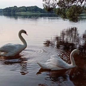 Фотография от Анастасия Зайцева