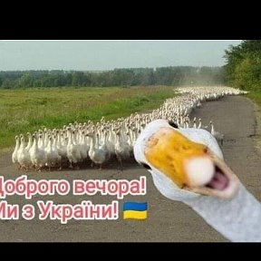 Фотография от М К