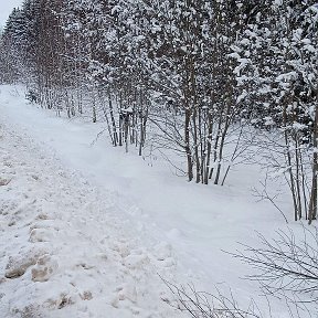 Фотография от Владимир михайлович