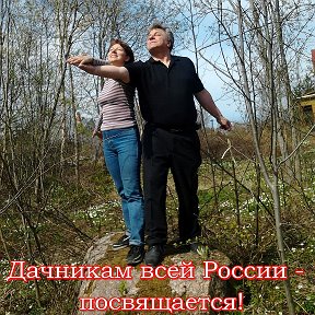 Фотография "Дачникам всей России - посвящается!"