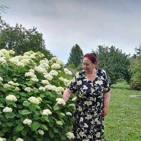 Фотография от Александра Петроченко(Кахаева)