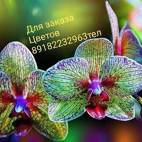 Фотография от Милана Орхидеи и Другие цветы Майкоп