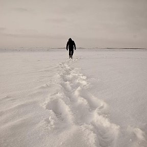 Фотография от ВЛАДИСЛАВ НИКОЛАЕВИЧ