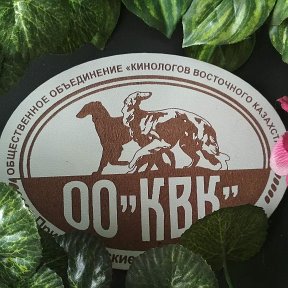 Фотография от ОО КВК - IKU и КЦ Сайгор