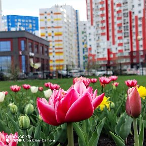 Фотография от Светланка Викторовна