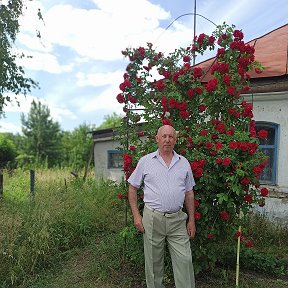 Фотография от Геннадий Синдеев