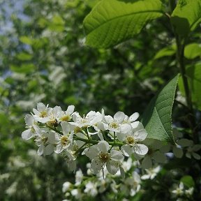 Фотография от Валерия Александровна