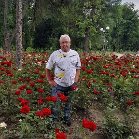 Фотография от Александр Коростелев