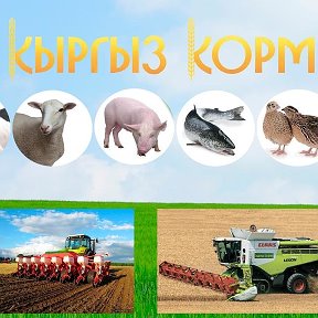 Фотография от Кыргыз Корм