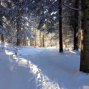 Фотография от Мария Баховская