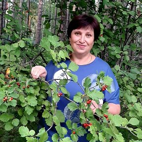 Фотография от Светлана Великосельская(Иващенко)