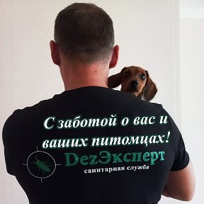 Фотография от DezЭксперт (уничтожение насекомых)