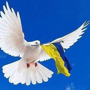 Фотография "Україна  =Мирна  країна..."