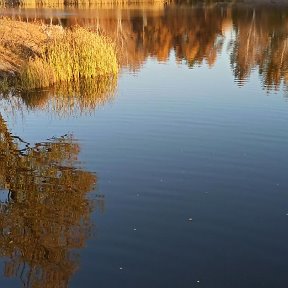 Фотография от Алёна Казаченко (Смоленцева)