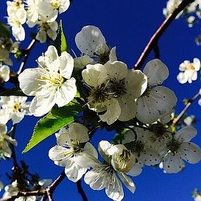 Фотография от Светлана Ахтямова