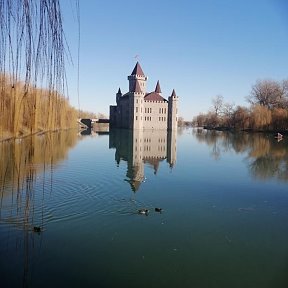 Фотография от Анна Сергеевна