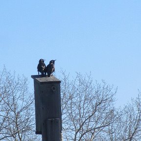 Фотография от марина кайгородова(иванченко)