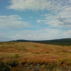 Фотография от Антон Видео оператор