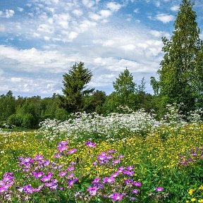 Фотография от Владимир Владимир