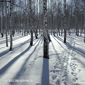 Фотография от Андрей sВорог