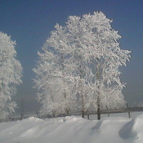 Фотография от Галина Капитулина