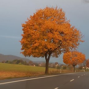 Фотография от Witalij Bajdelspacher