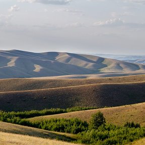 Фотография от Ирина Алюсова