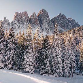 Фотография от Лариса Бойцова