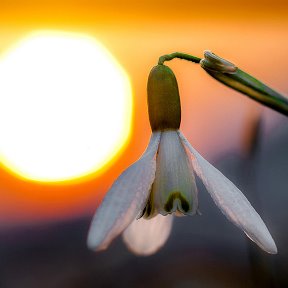 Фотография от Елена Спицаева