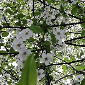 Фотография от Нина Кузнецова( Мокина)