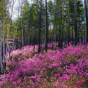 Фотография от Татьяна корчагины