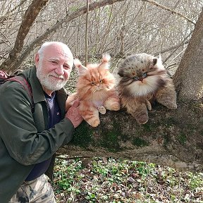 Фотография "Повстречал в лесу вот таких прекрасных котиков ."