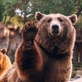 Фотография от Александар Прошутин