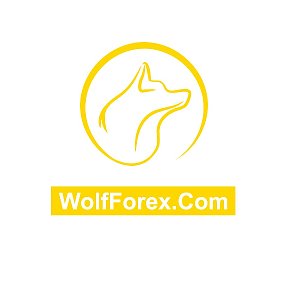 Фотография от Chiến lược giao dịch Forex