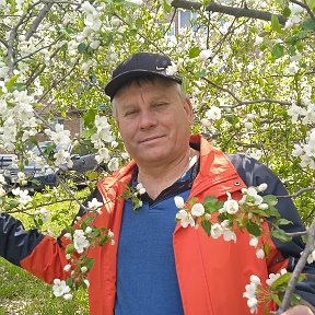 Фотография "7 мая 2024 г. Яблони цветут."