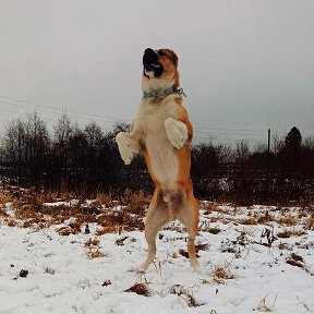 Фотография от Андрей Макурин