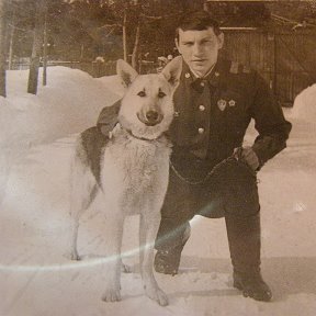 Фотография от СЕРГЕЙ ИЛЬИНЫХ