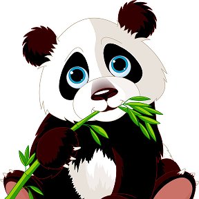 Фотография от Panda baby Магазин детских товаров