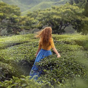 Фотография от Александра Сёмочкина (Фотограф)