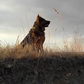 Фотография от Фёдор Поляков