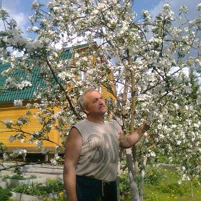 Фотография "Мне бы тоже в небо вслед за птицами ,
Но куда с такими ягодицами ..."