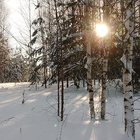 Фотография от Ира Лапкасова (Эльмекеева)