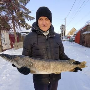 Фотография от Владимир Дмитриев