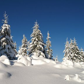 Фотография от САНМАКСТУР Карпати щотижня