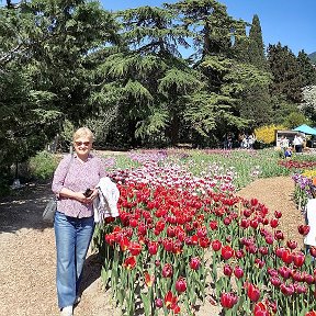 Фотография "Никитский ботанический сад апрель 2024 г.,бал тюльпанов"
