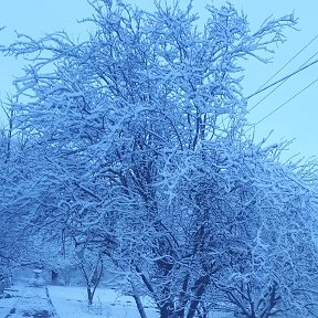 Фотография от Вера Куценко (Бузова)