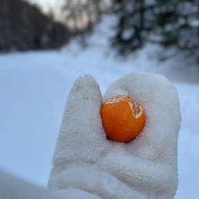 Фотография от Татьяна Владимировна