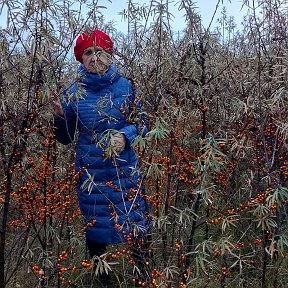 Фотография от Галина Ищенко (стульева)