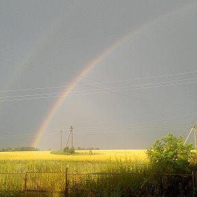 Фотография "после дождя"